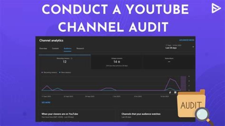 Audit the Audit Youtuber overview