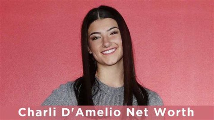 charli d'amelio net worth, income and estimated earnings of Youtuber channel