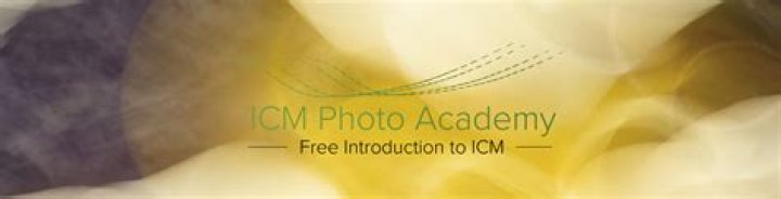 Gottlieb Back To ICM