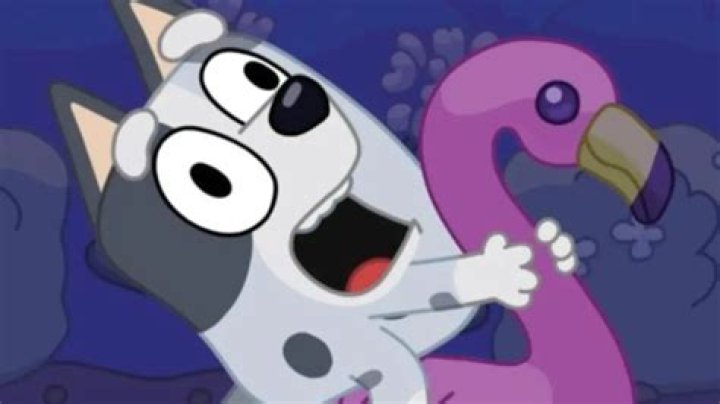 Is Muffin From Bluey Autistic? Does She Have Anger Issues?