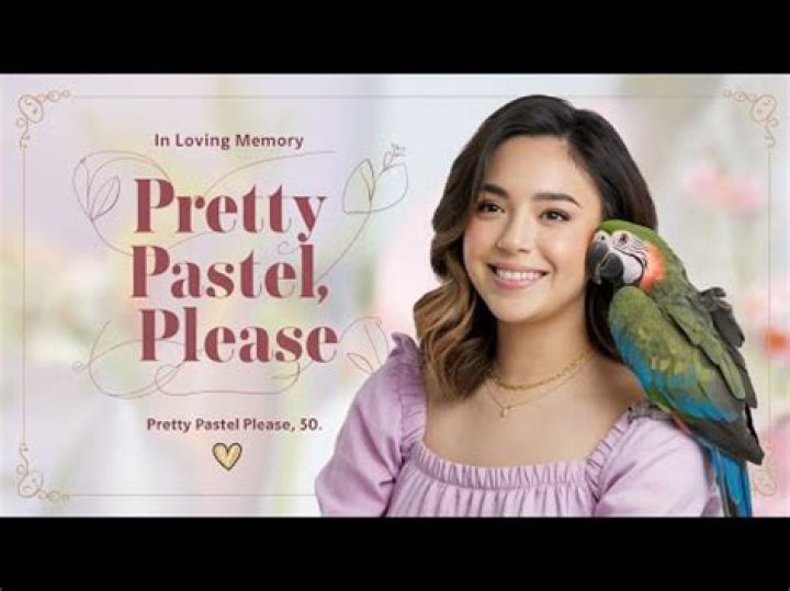 Pretty Pastel Please Youtuber overview