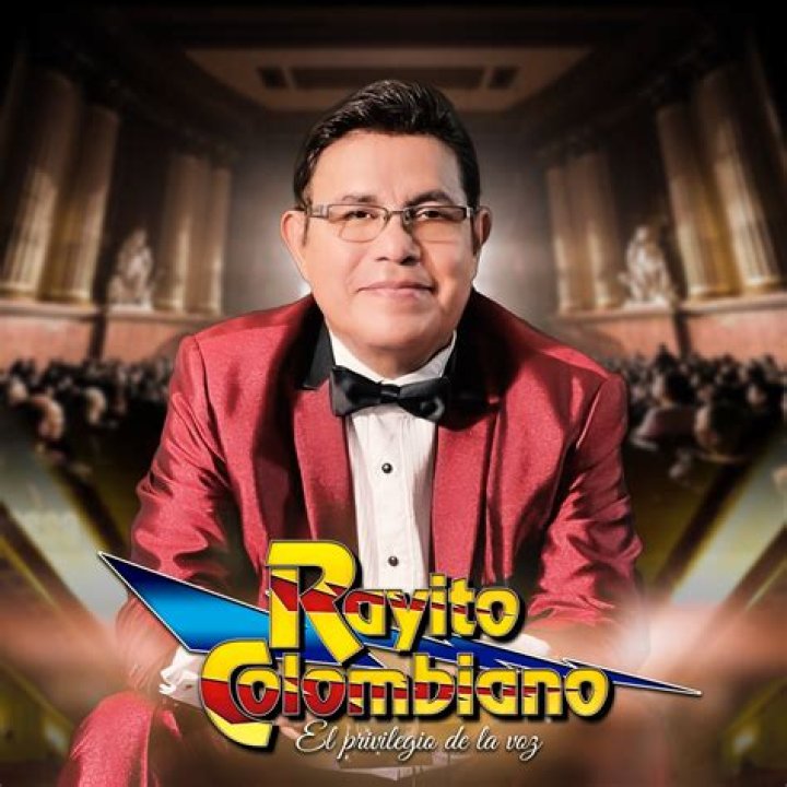 Rayito video statistics