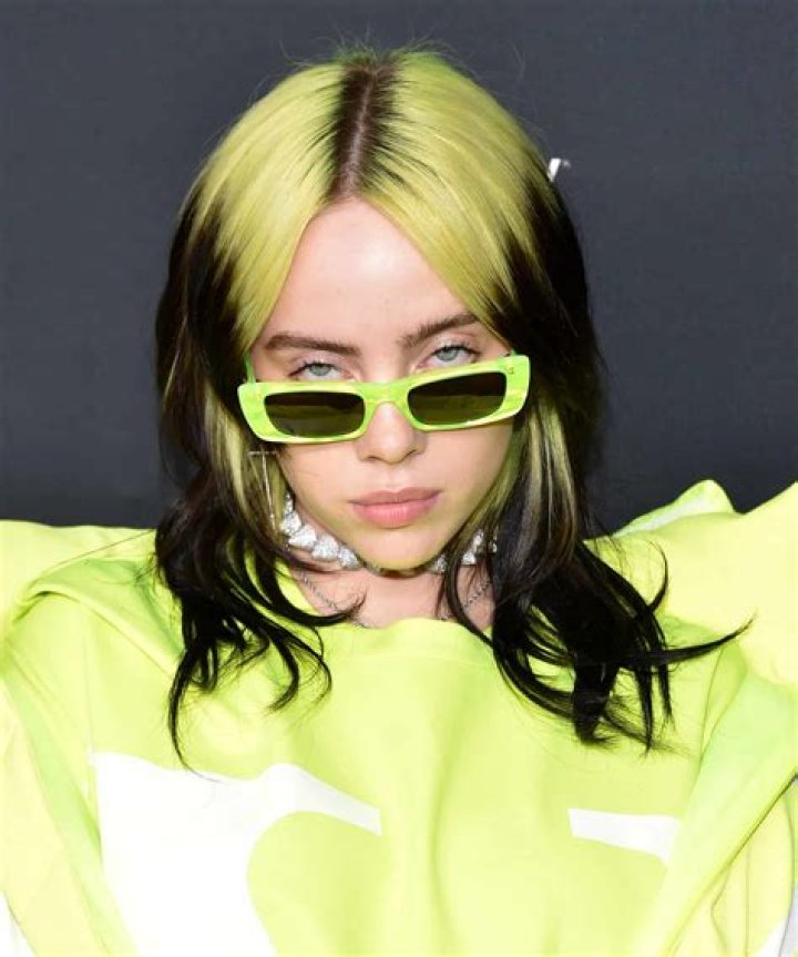 Which High School Did Billie Eilish Go To?